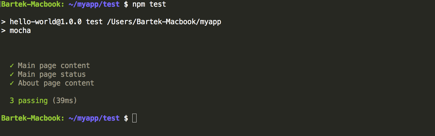 Running npm test (expanded)