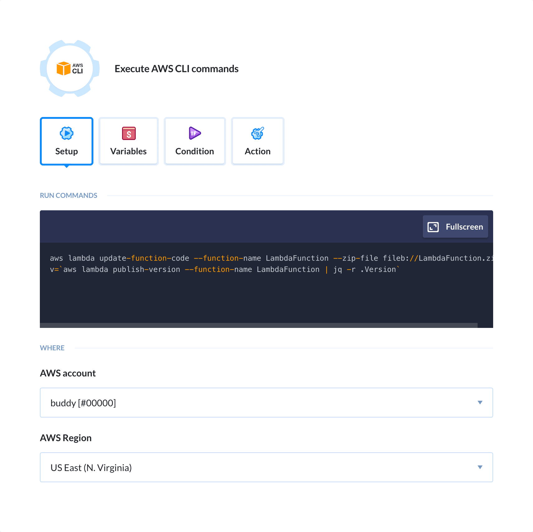 Preview AWS CLI action, tab Setup