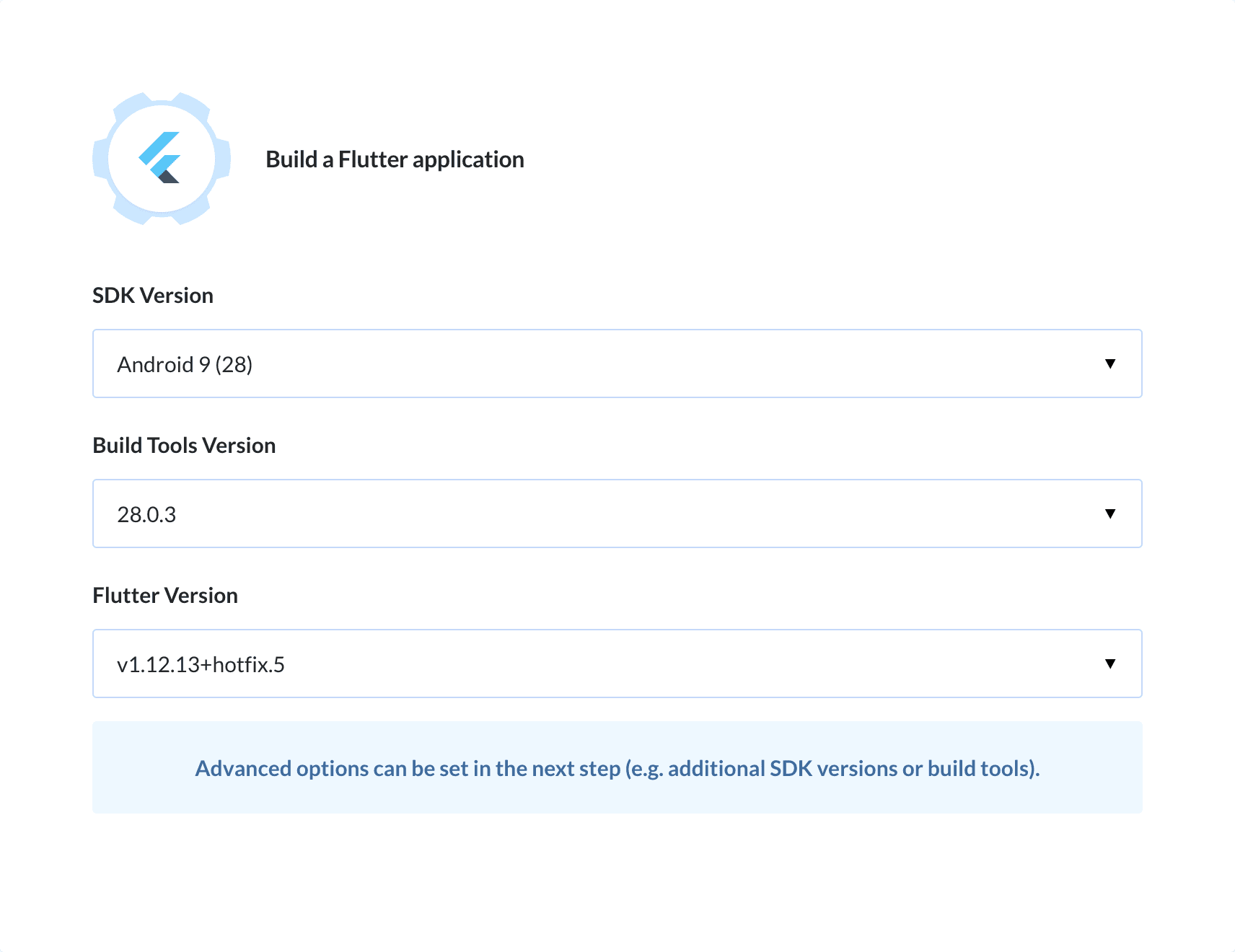 Preview Build Flutter app action, tab Setup