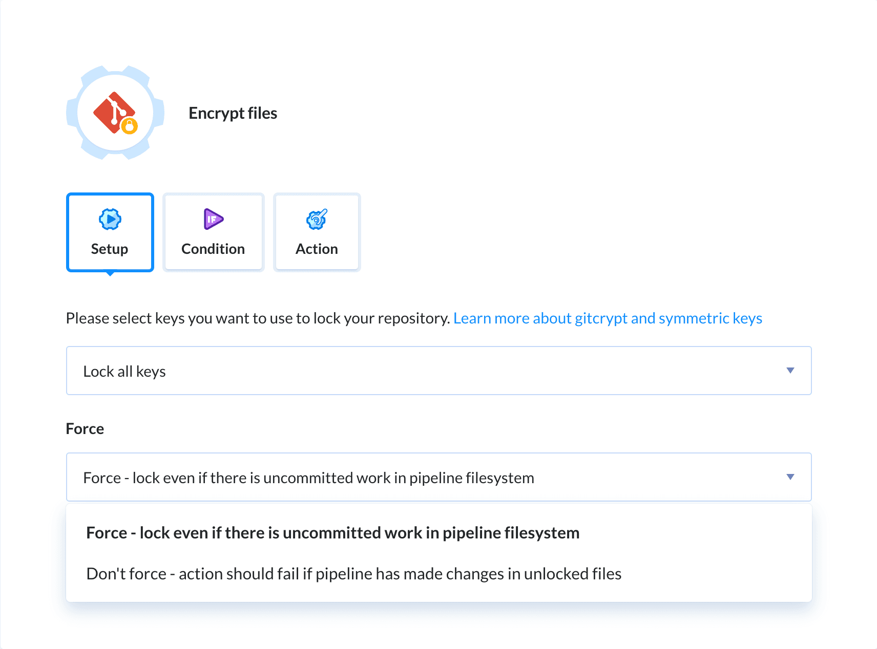 Preview Gitcrypt lock action, tab Setup