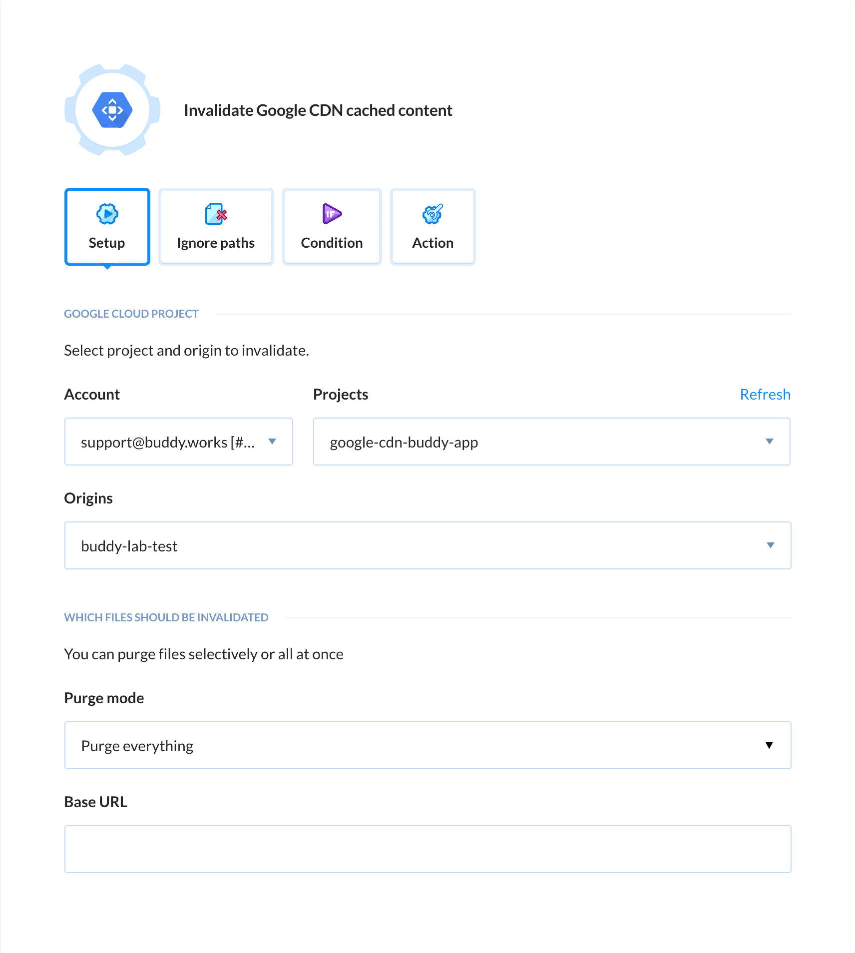 Preview Google CDN action, tab Setup