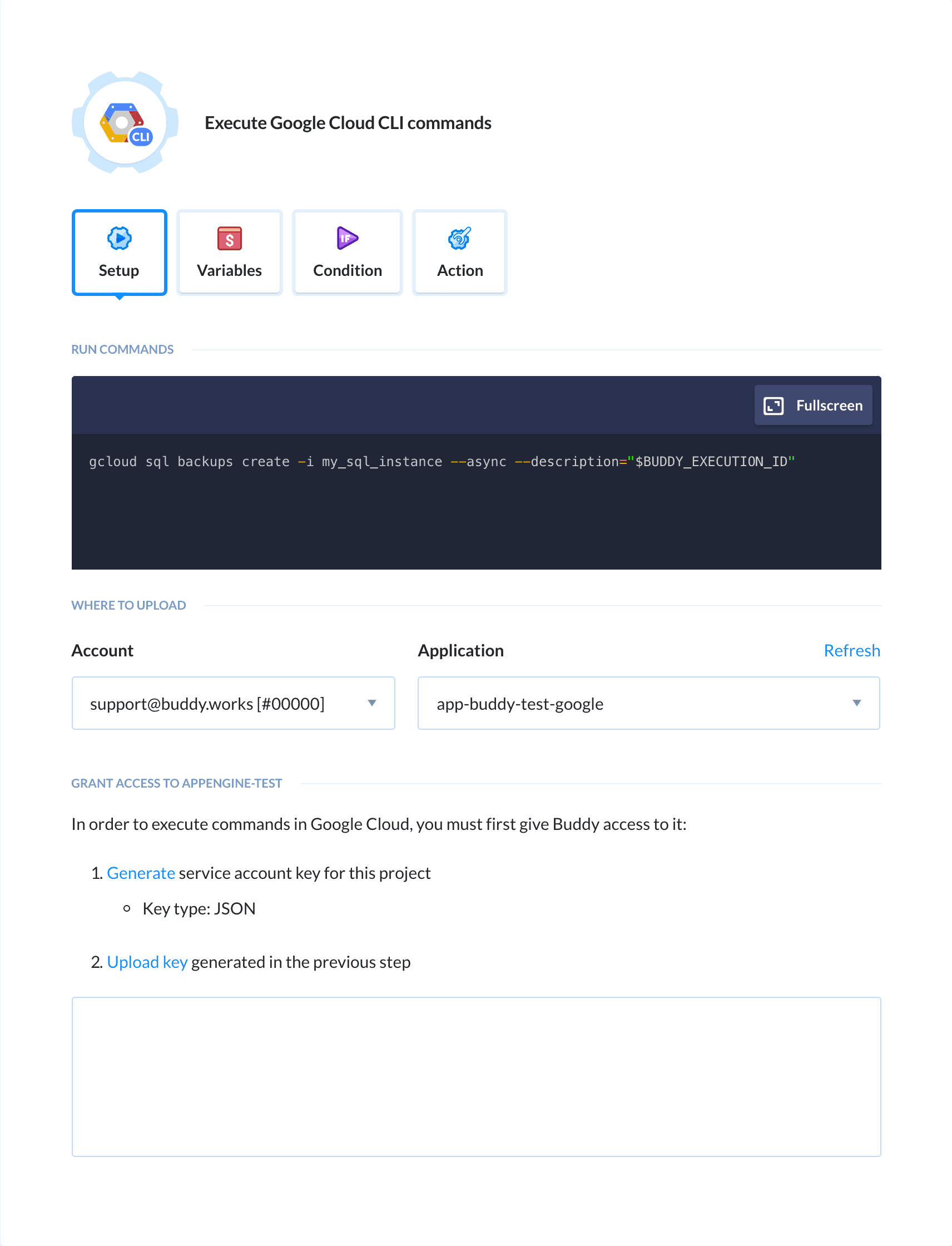 Preview Google Cloud CLI action, tab Setup