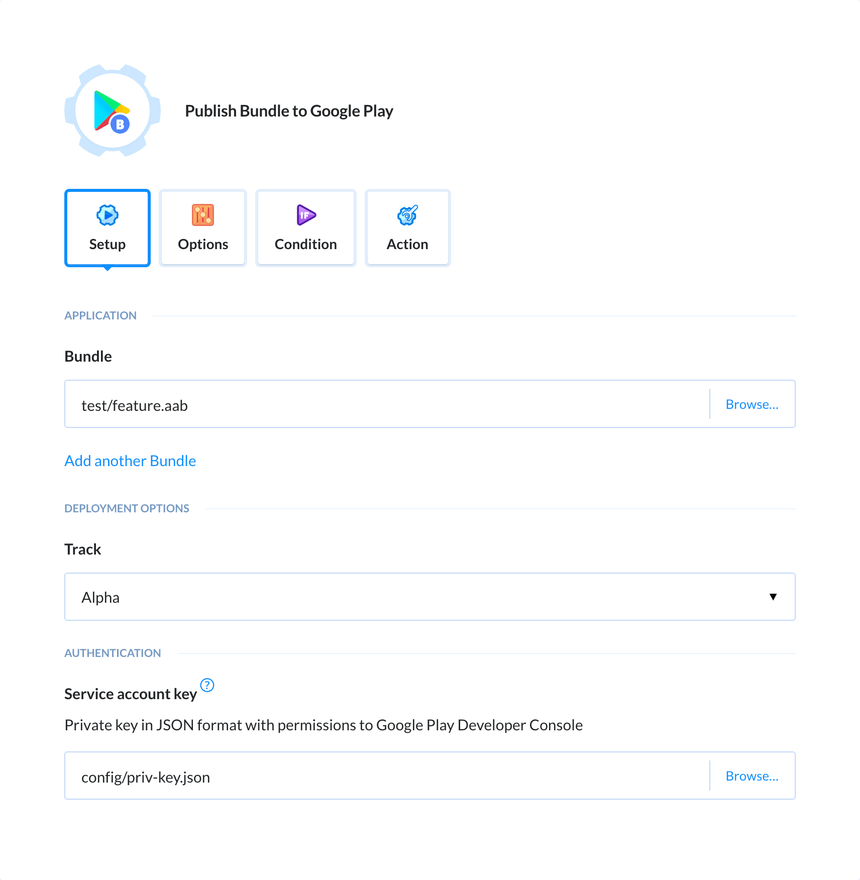 Preview Google Play Bundle action, tab Setup