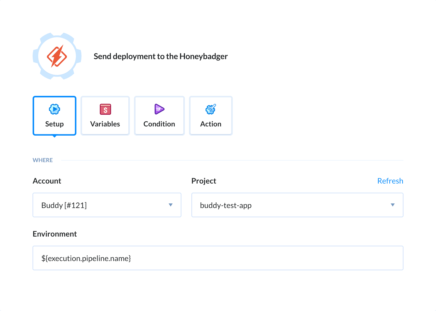 Preview Honeybadger action, tab Setup