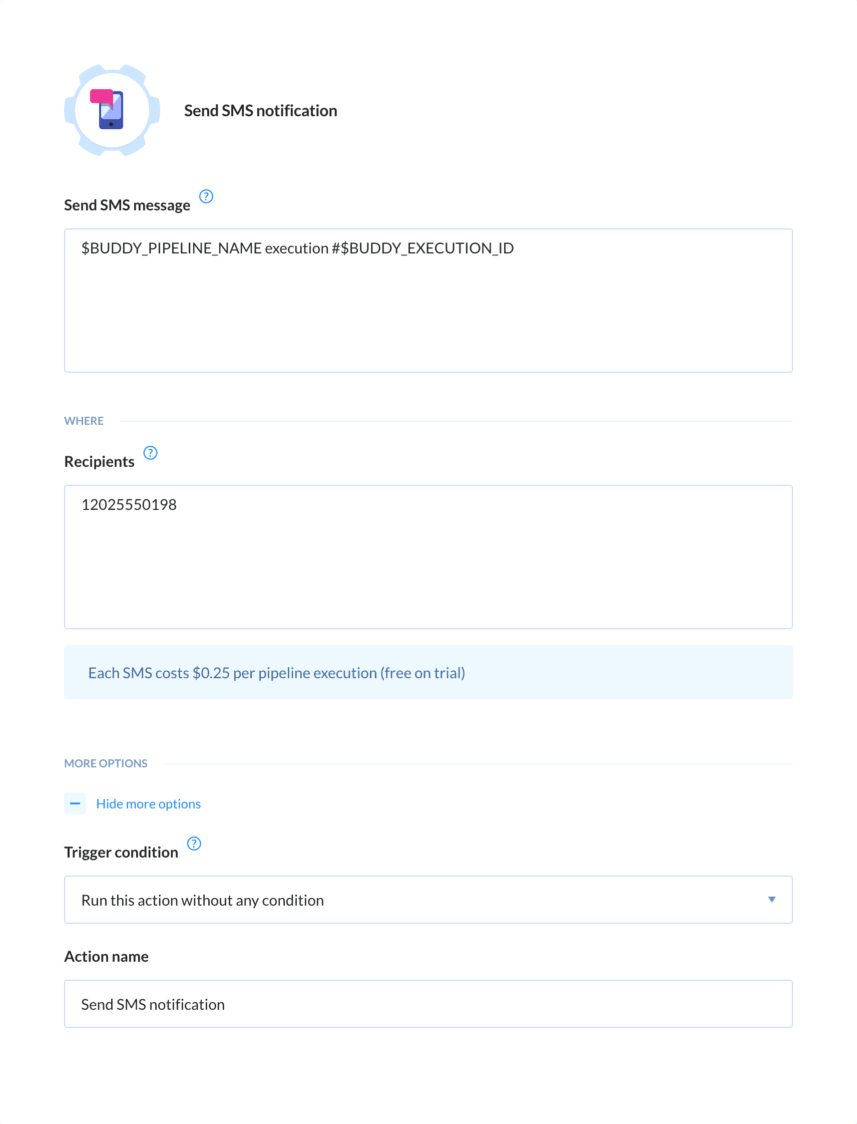 Preview SMS action, tab Setup