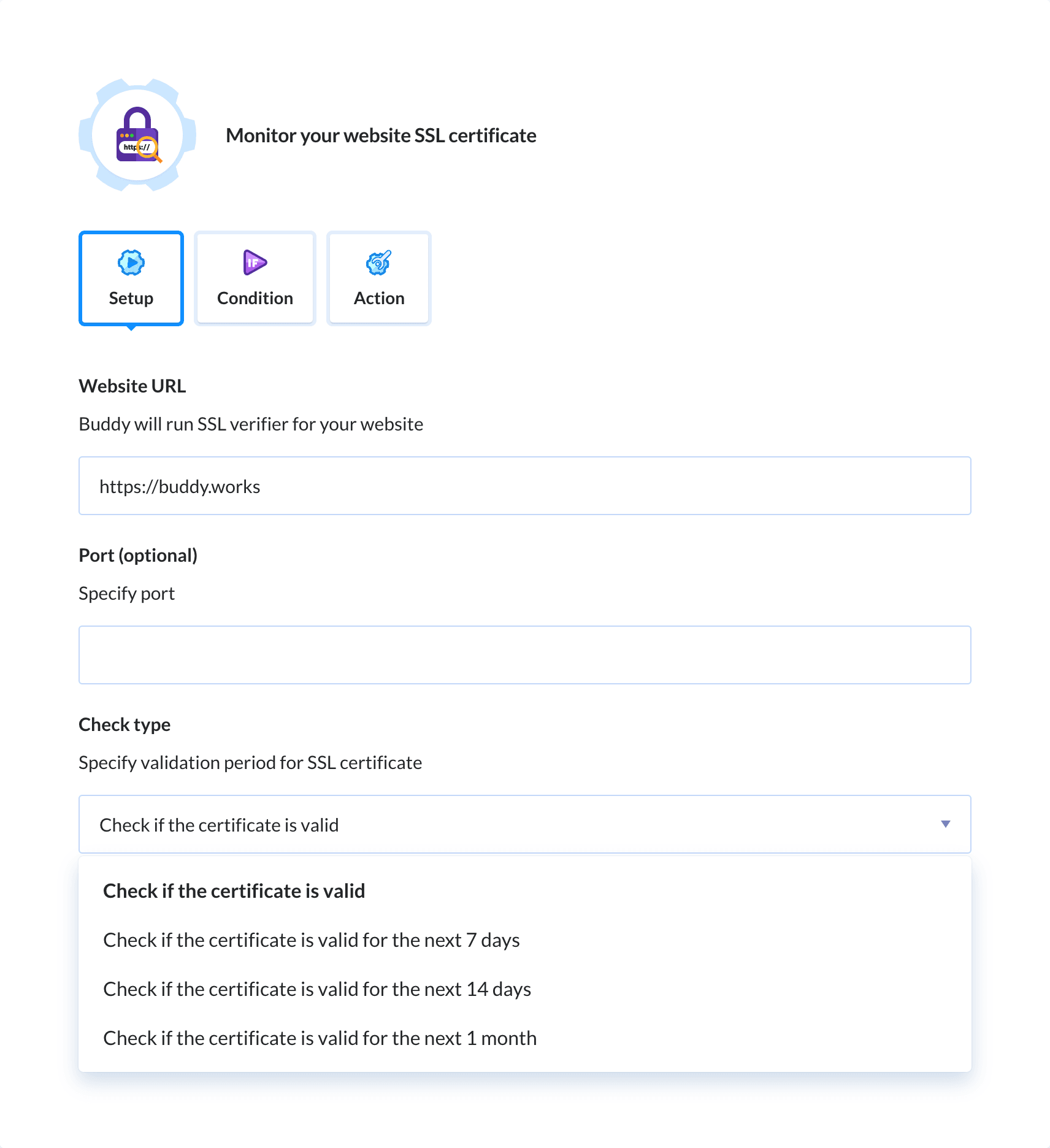 Preview SSL Checker action, tab Setup