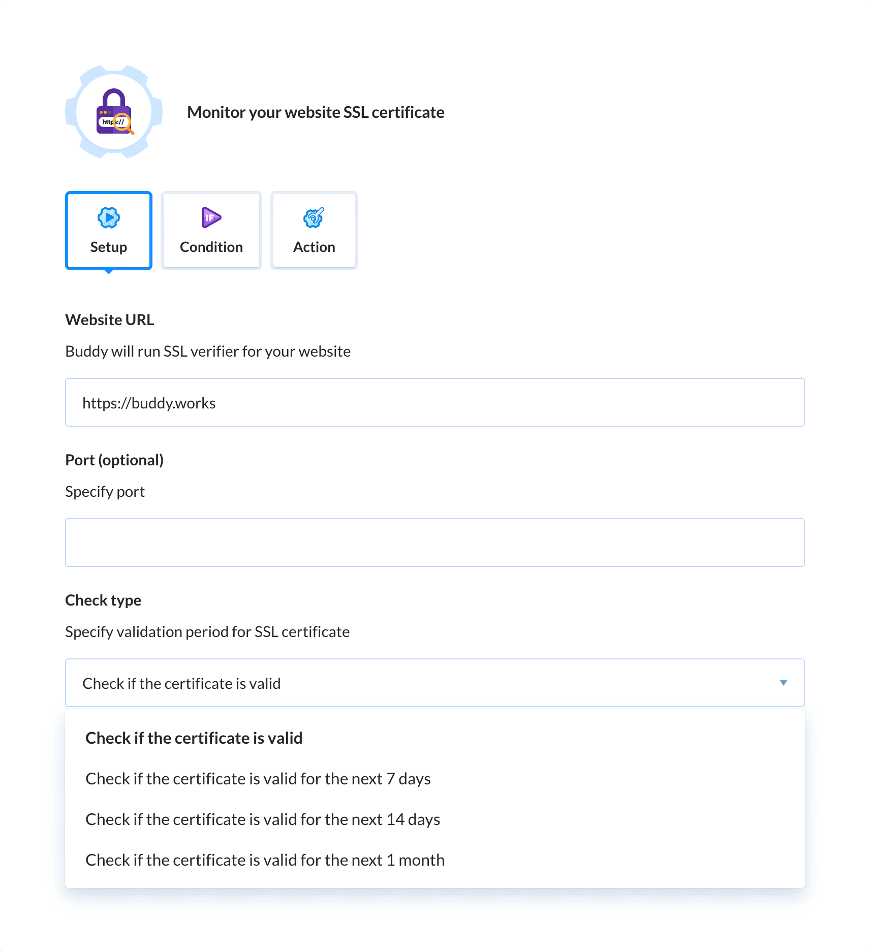 Preview SSL Checker action