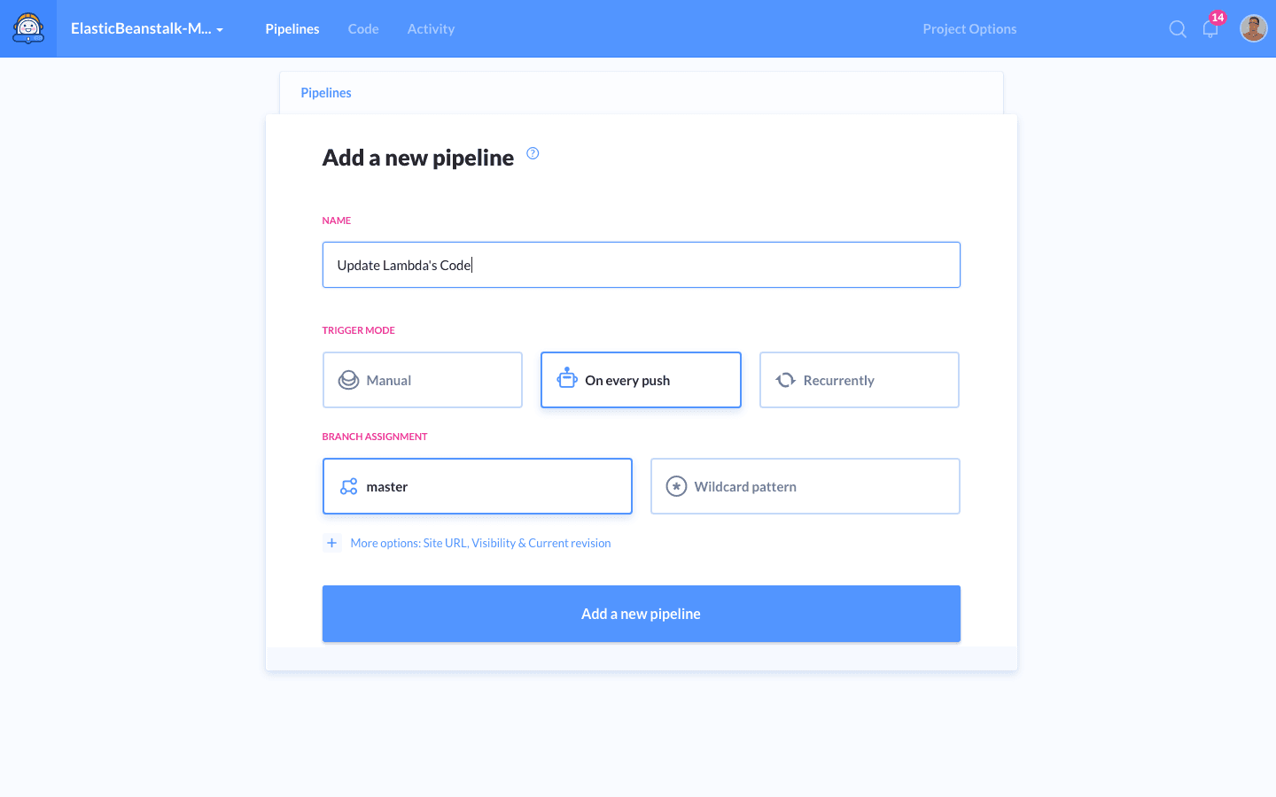 Setting pipeline details