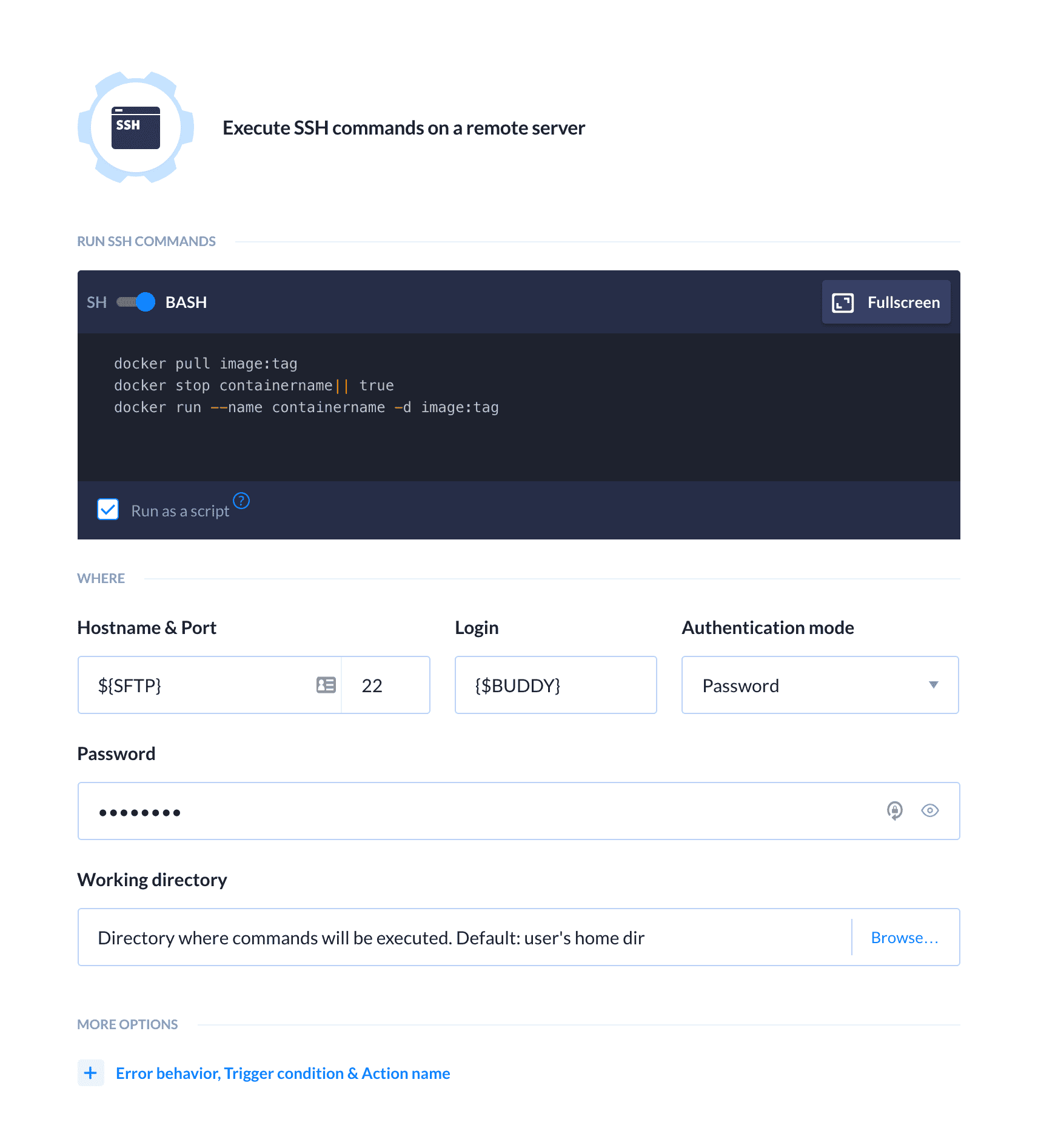 SSH action details