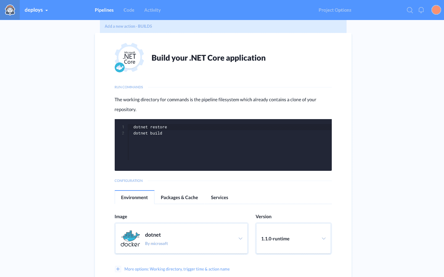 .NET Core action details