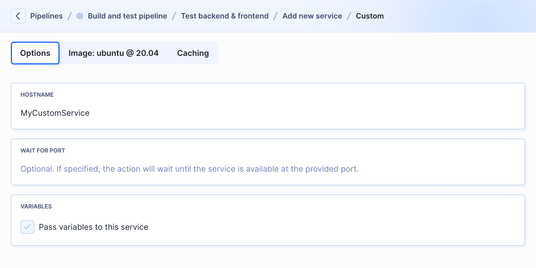 Options tab in custom service configuration