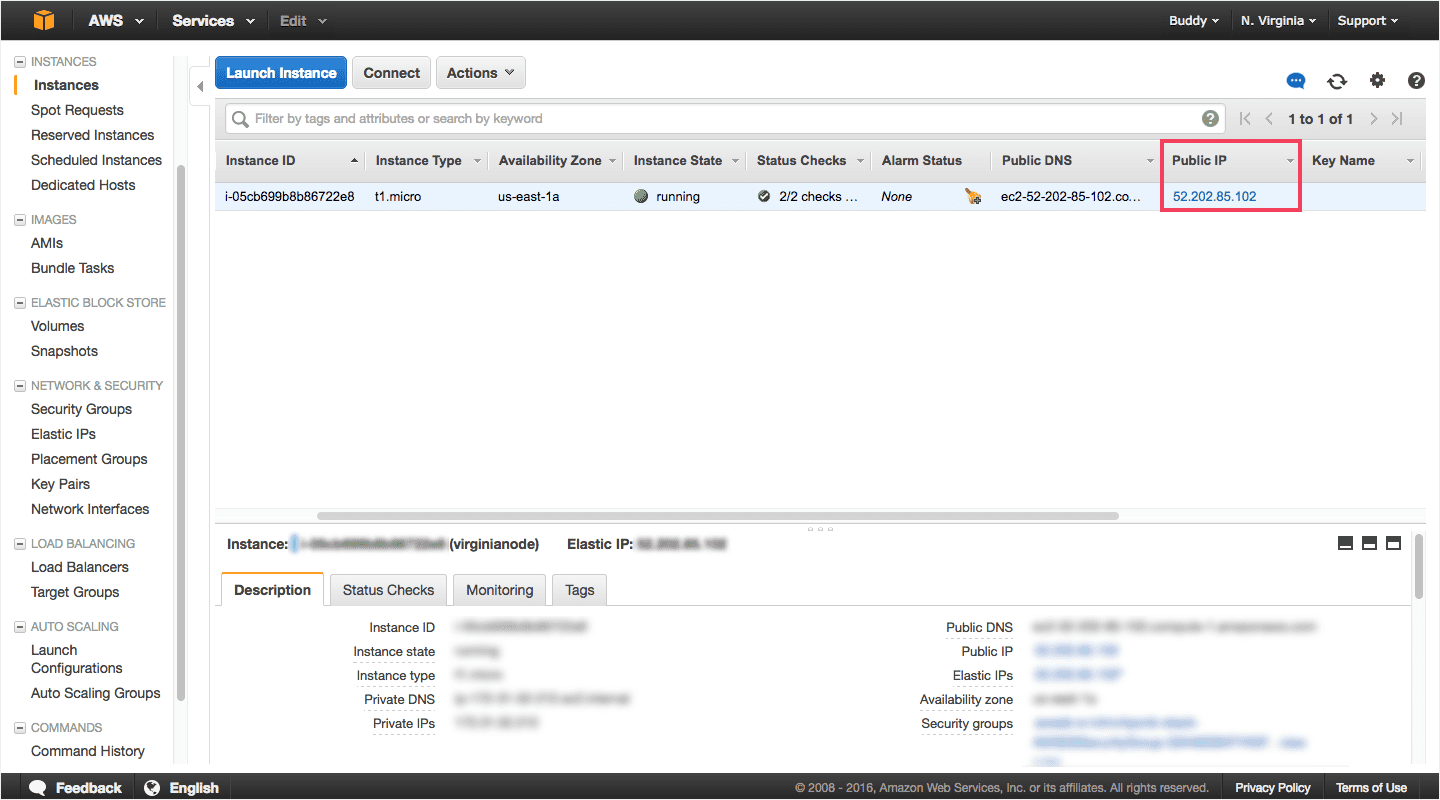 Public IP of your EC2 instance