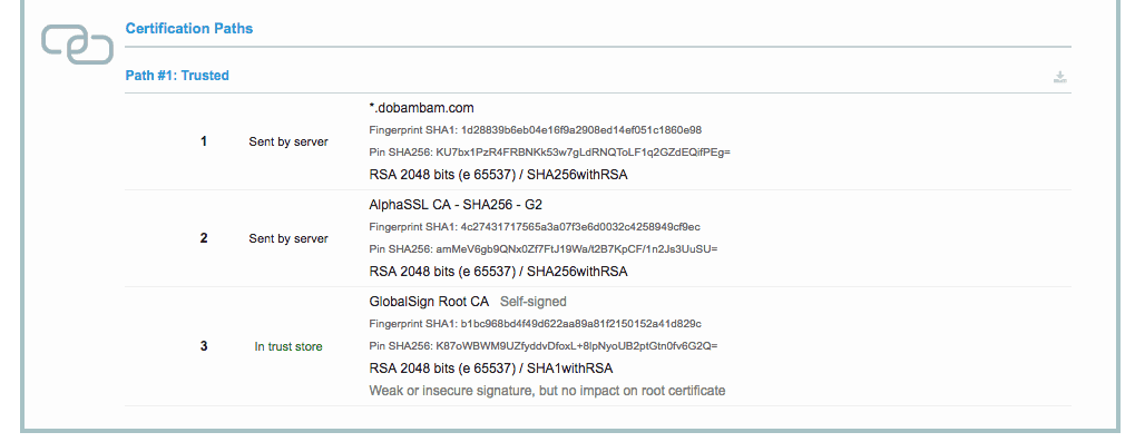 Properly generated SSL certificate