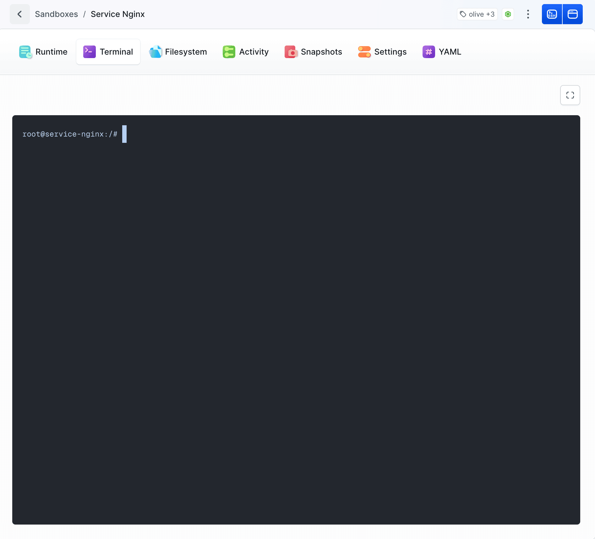 Sandbox terminal