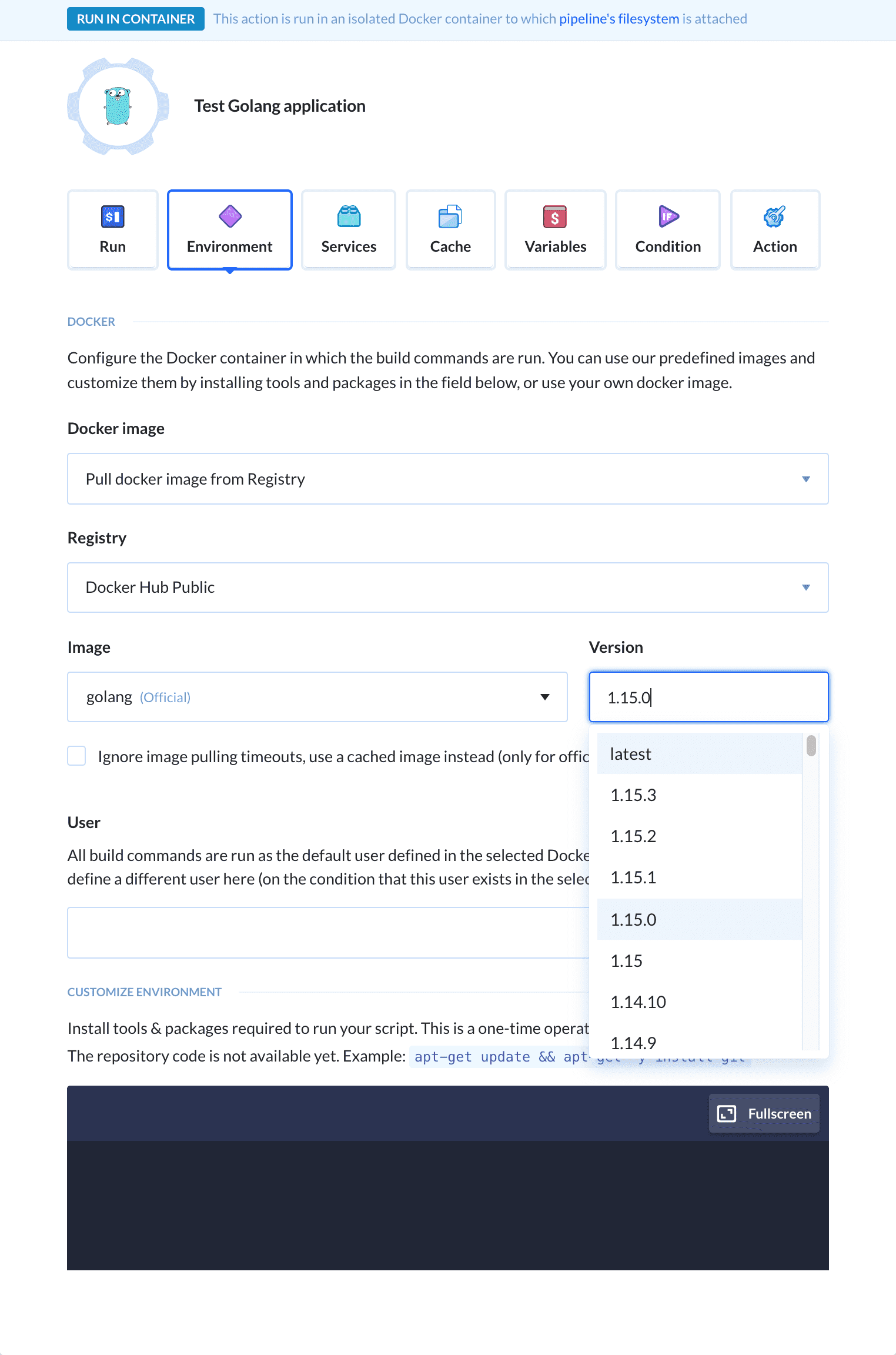 Changing Golang version in action details