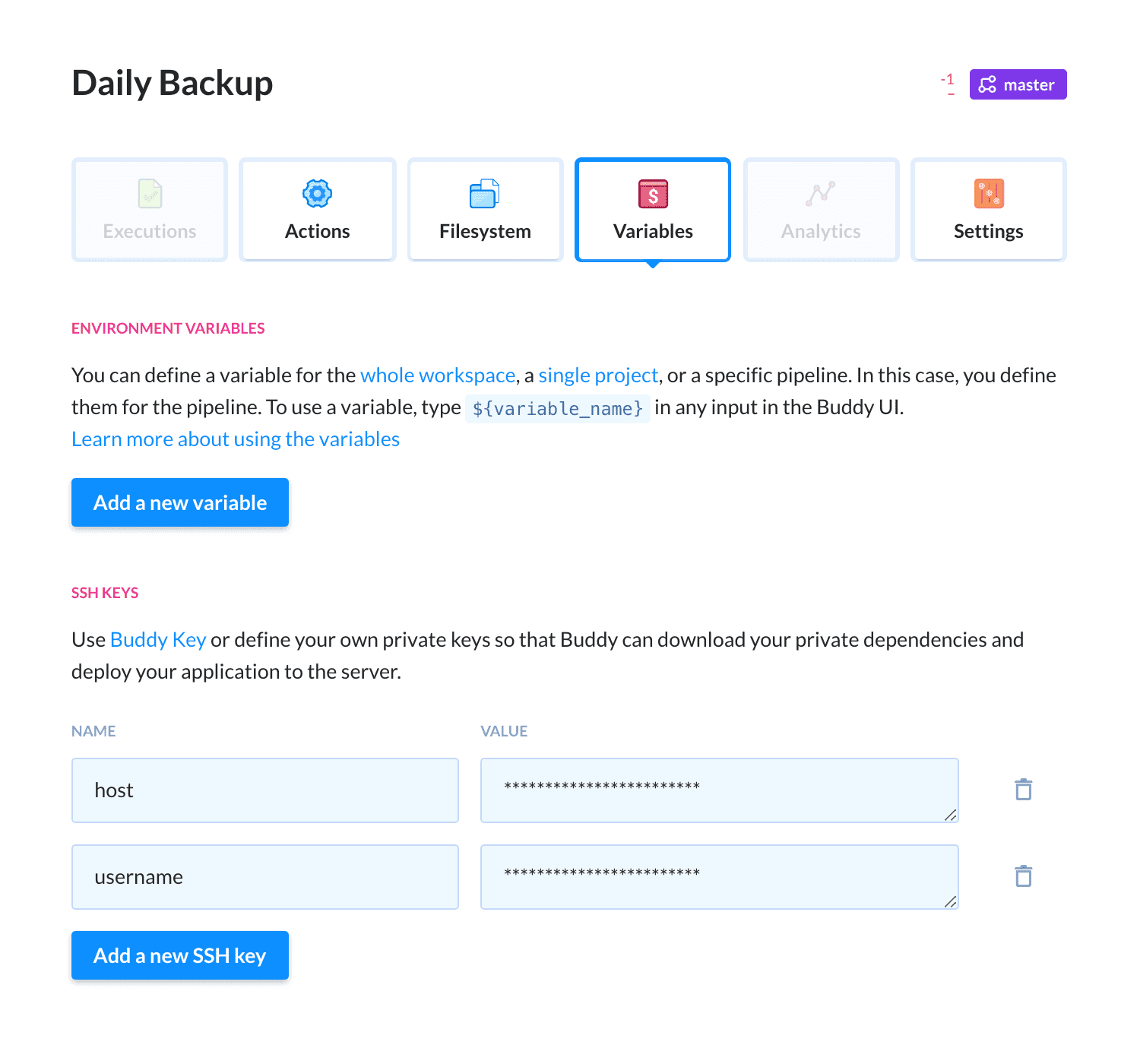 Setting environment variables