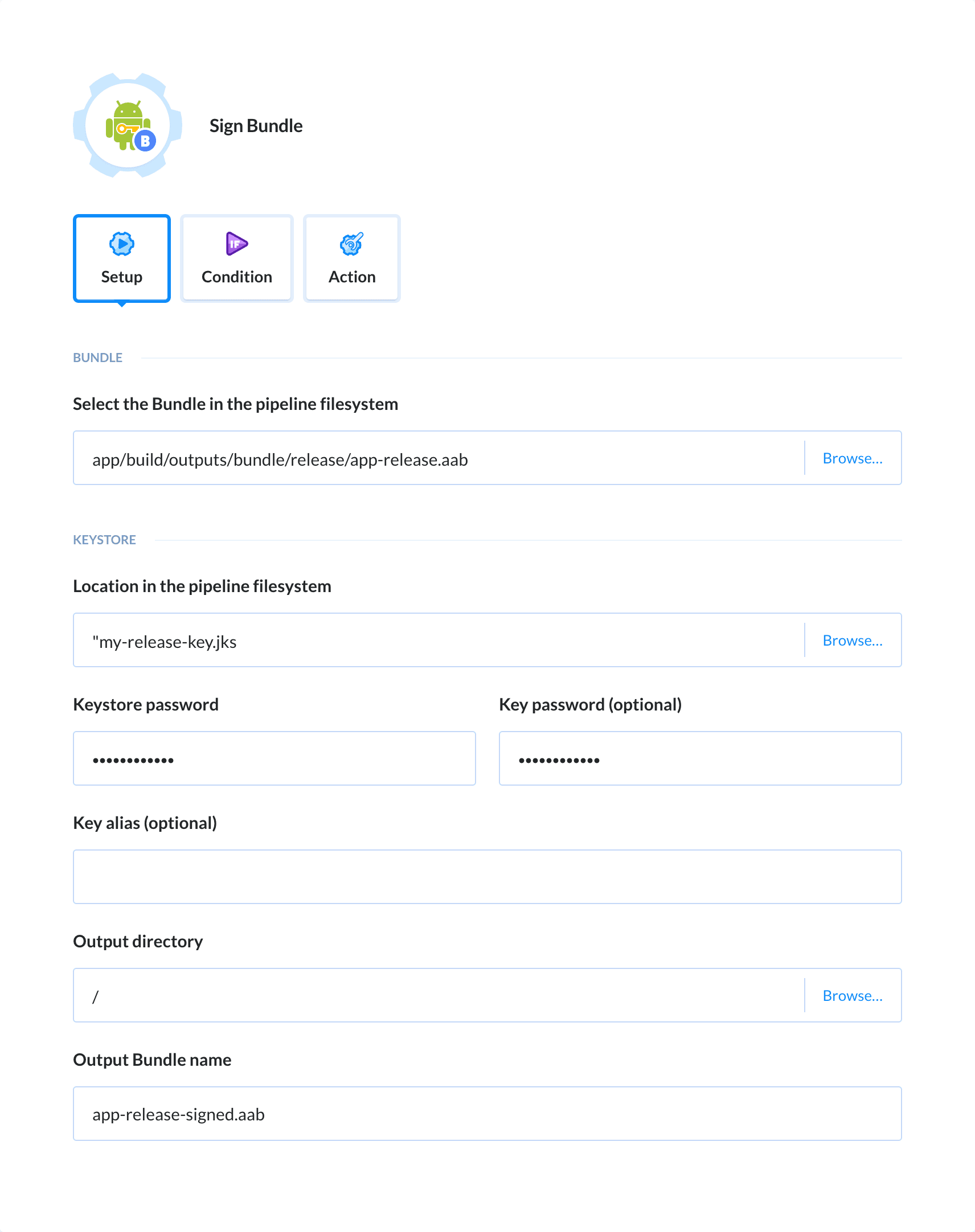 Preview Sign Bundle action, tab Setup
