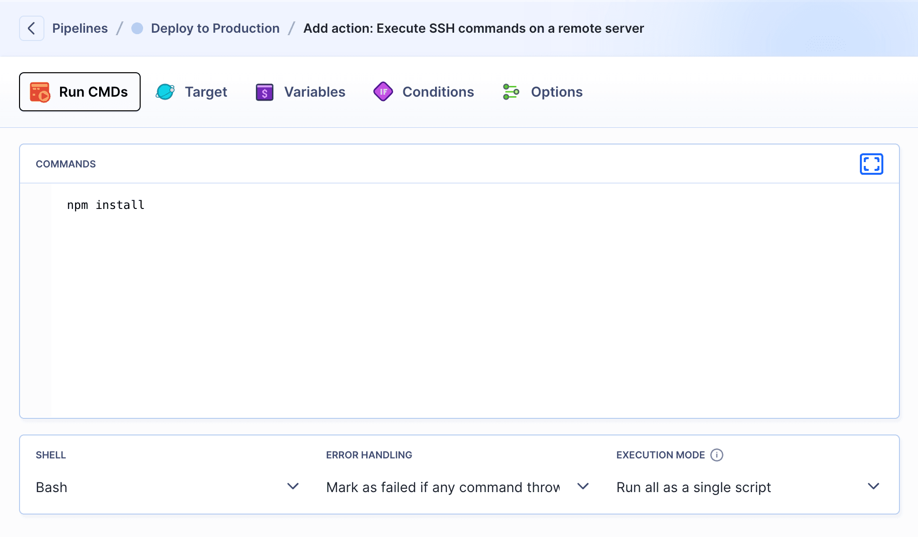 SSH action details