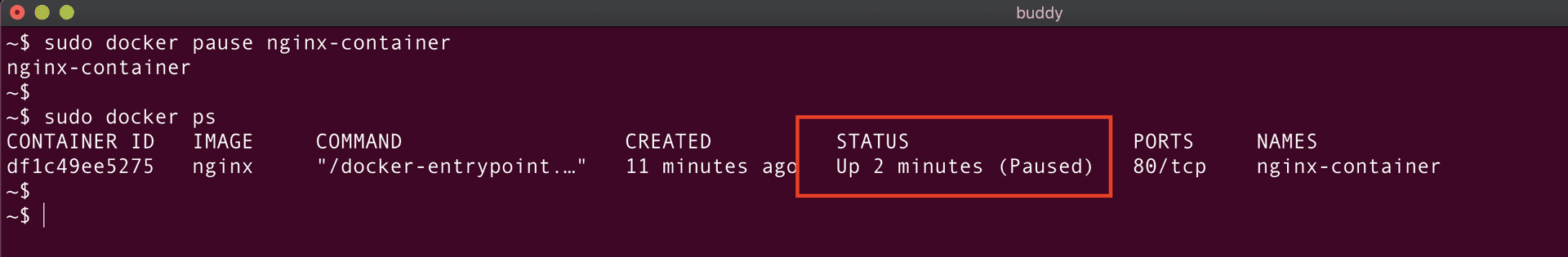 docker pause command results