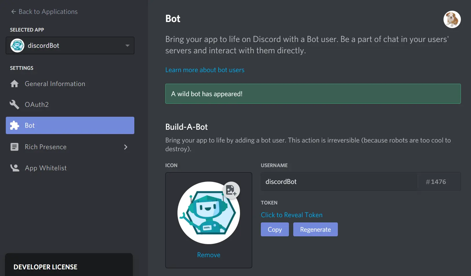 Discord bot details