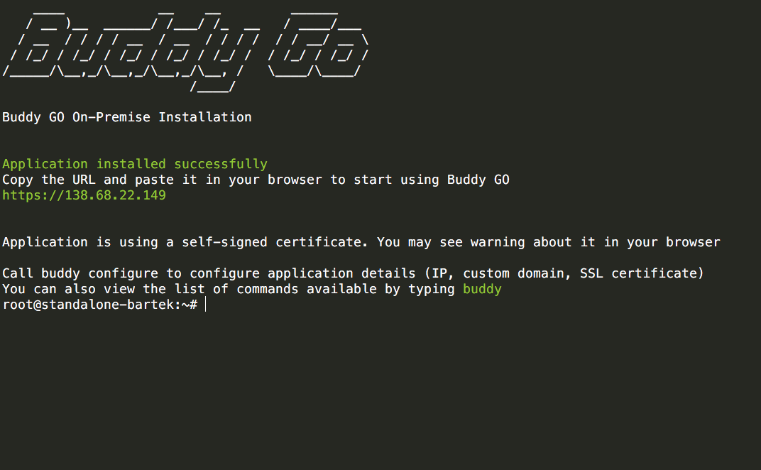 Buddy GO installation screen