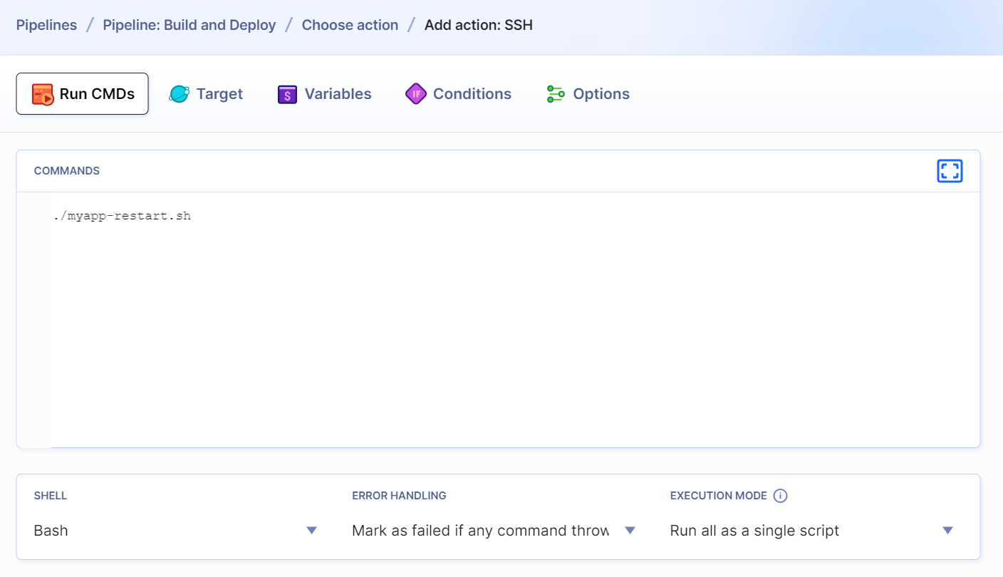 SSH action configuration